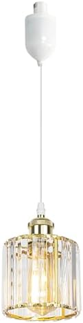 Kiven Adjustable Track Pendant Light