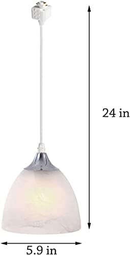 Versatile Pendant Light