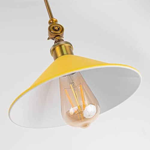 Adjustable LED Track Lighting Sloped Ceiling Spotlight by SKIVTGLAMP Juno Track