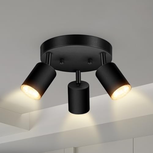 3-Light Track LightingFixture with Matte Black Finish