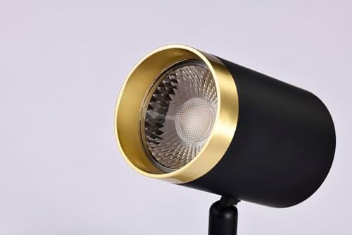 Brilliant Iterate 36-Degree Beam