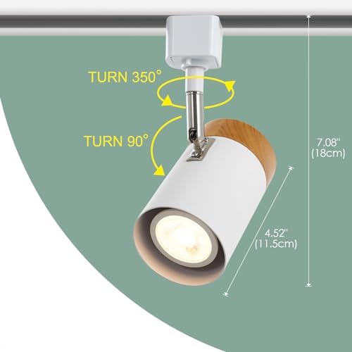 Elegantly Designed 6 Track Lighting Heads for Your Home