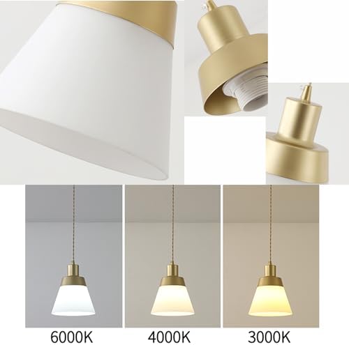 SKIVTGLAMP Adjustable Retro Lighting