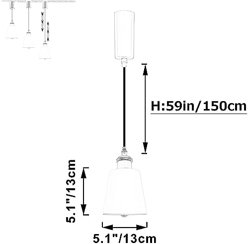 Adjustable Track Pendant Light