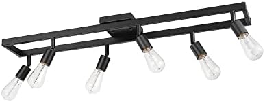 Stunning Matte Black Farmhouse Lighting by Globe Electric