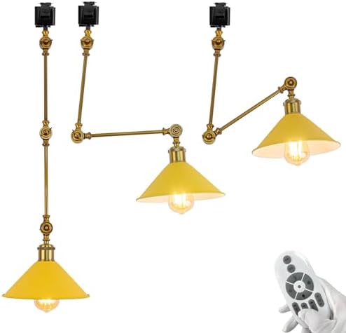 Adjustable LED Track Lighting Sloped Ceiling Spotlight by SKIVTGLAMP Juno Track