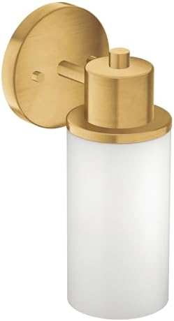 Luxury Dual-Mount Vanity Light - Moen DN0761BG