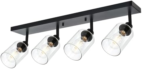 Vinluz 4 Light Vanity Wall Light with Clear Glass Shade
