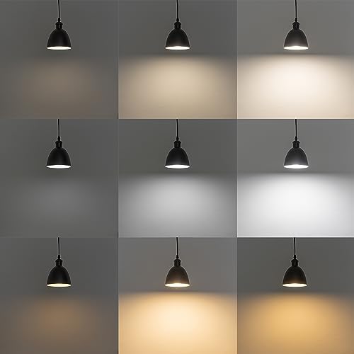 Remote Control Track Pendant Light - Rustic to Modern Design Customizable Stepless Dimming