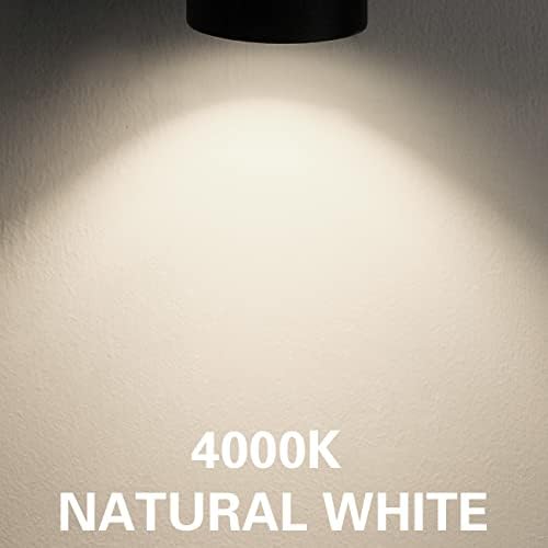 INTWELL 10W Track Lighting Heads