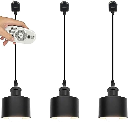 Stepless dimmable remote control pendant Black and White
