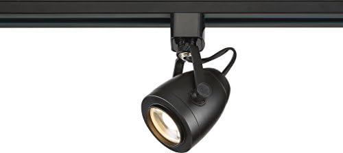 Compact Energy-Saving Track Head Lighting Assembly in Black