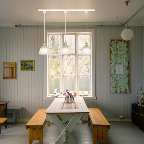 Modern GEtat Style pendant light