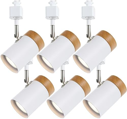 Elegantly Designed 6 Track Lighting Heads for Your Home