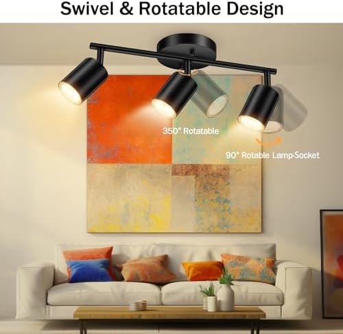 Black Ceiling Lighting Kit