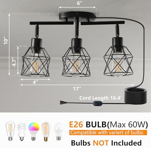 Plug-in Track Lighting for Black Farmhouse Style