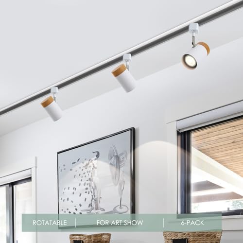 Elegantly Designed 6 Track Lighting Heads for Your Home