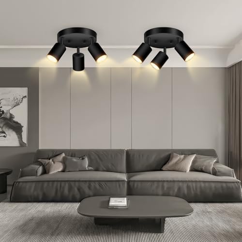 3-Light Track LightingFixture with Matte Black Finish