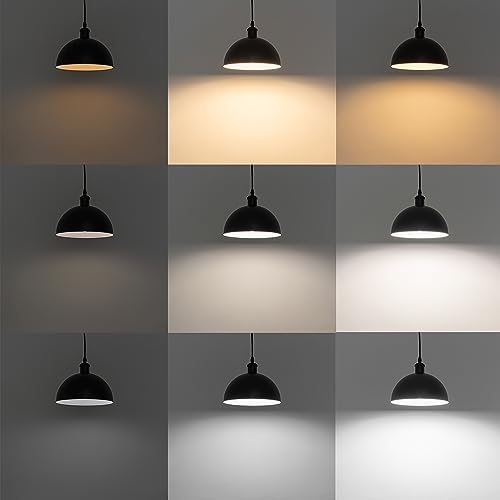 Uniform Color Transition retractable pendant light