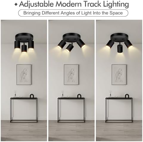 3-Light Track LightingFixture with Matte Black Finish