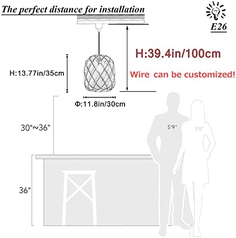 Natural Rattan Pendant Light Track Light System