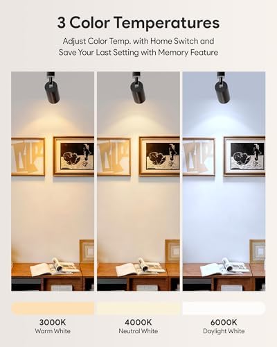 Track Lights Set of 6 for H-Track Compatible Ceiling