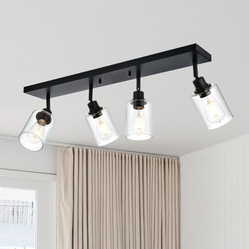 Vinluz 4 Light Vanity Wall Light with Clear Glass Shade
