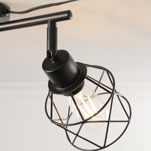 Plug-in Track Lighting for Black Farmhouse Style