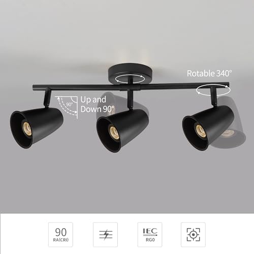 Black LED Lighting Kit 21W