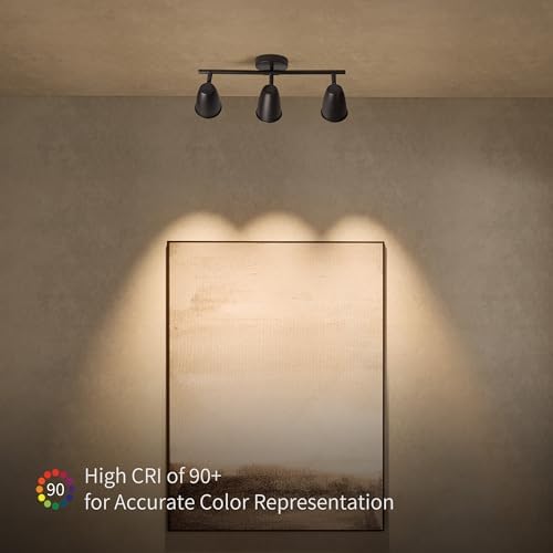 Black LED Lighting Kit 21W