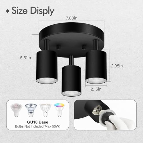 3-Light Track LightingFixture with Matte Black Finish