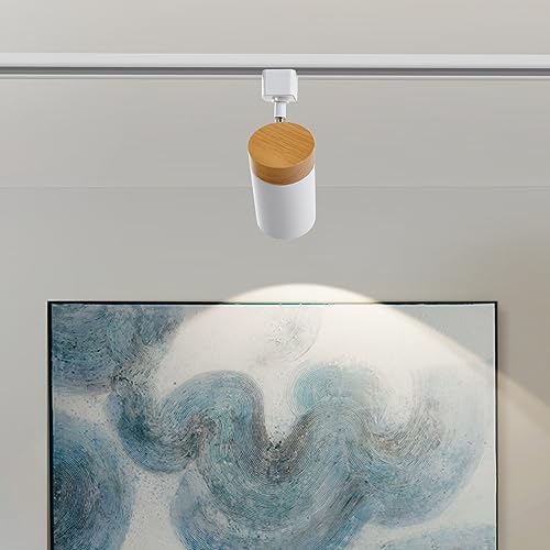 Elegantly Designed 6 Track Lighting Heads for Your Home
