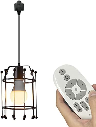 Compact Stylish Iron Pendant Light
