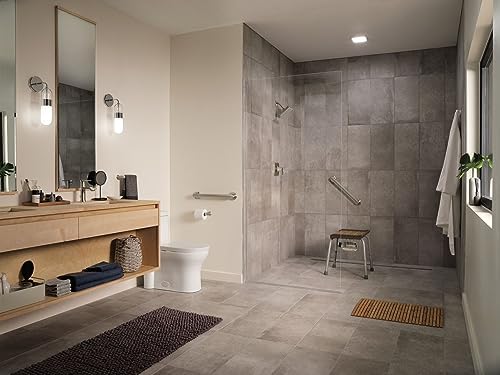 Moen Genta LX Brushed Nickel Robe Towel Hanger