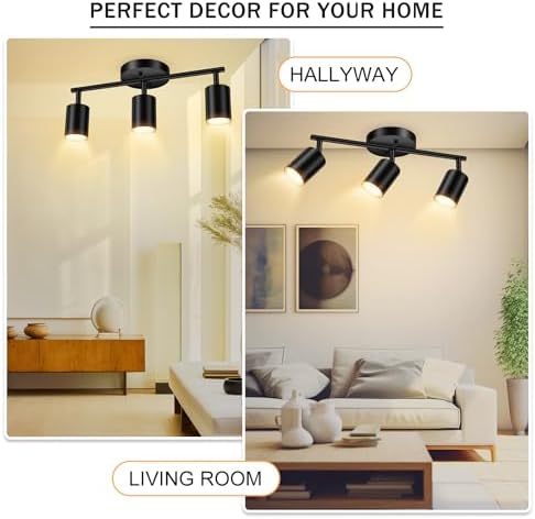 Black Ceiling Lighting Kit