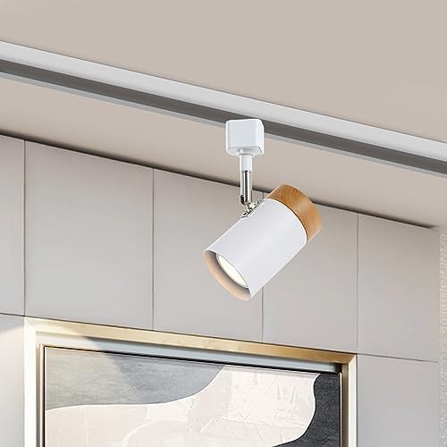 Elegantly Designed 6 Track Lighting Heads for Your Home