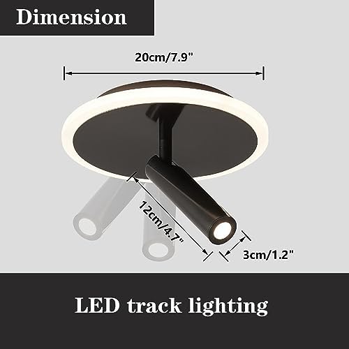 Flyrose 1-Light Modern LED Flush Mount Ceiling Spotlight