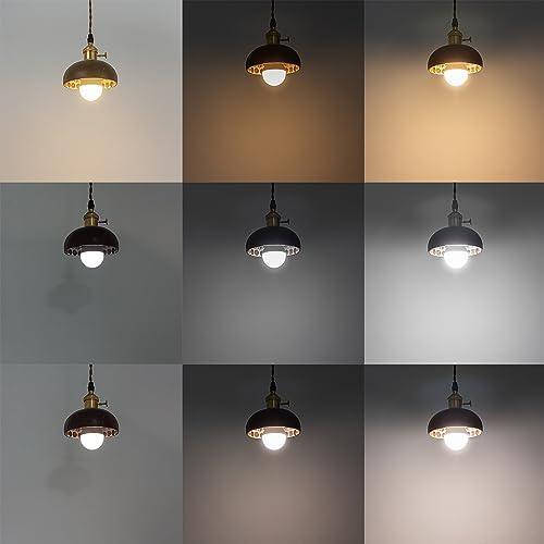Smart LED Pendant Light with Dimmable Control