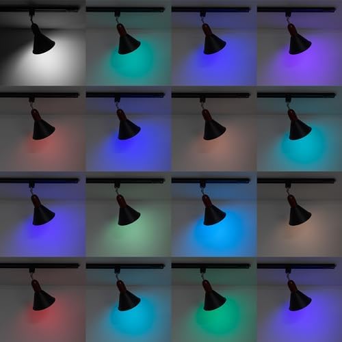 H-Track Complete Ceiling Spotlight Kit