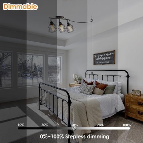Plug-in Track Lighting for Black Farmhouse Style