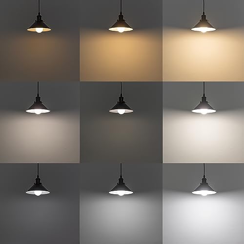 Elegant Stepless Black Track Pendant