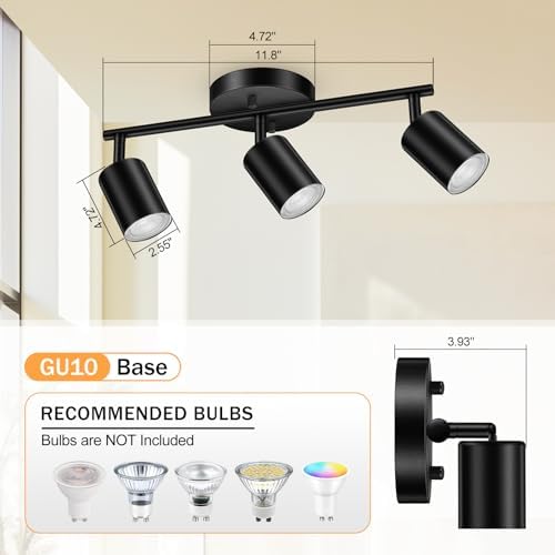 Black Ceiling Lighting Kit