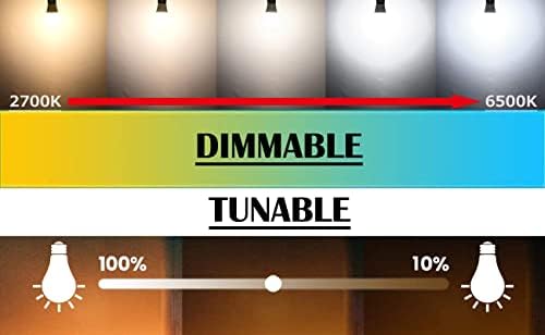 Adjustable Track Lighting with Smart LED Bulbs