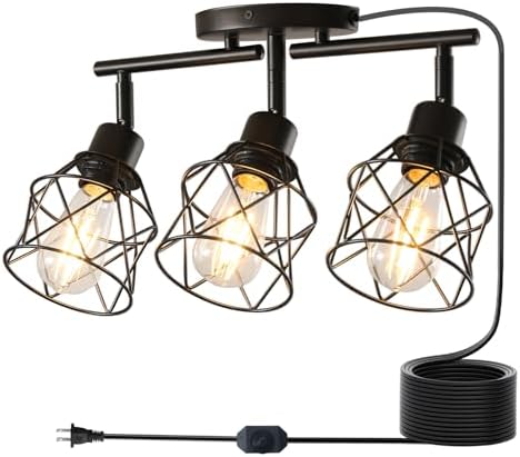 Plug-in Track Lighting for Black Farmhouse Style