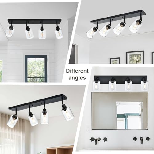 Vinluz 4 Light Vanity Wall Light with Clear Glass Shade
