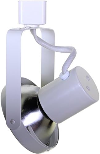 PAR30 Gimbal Ring Track Lighting Fixture E26 PAR30 Bulb Included