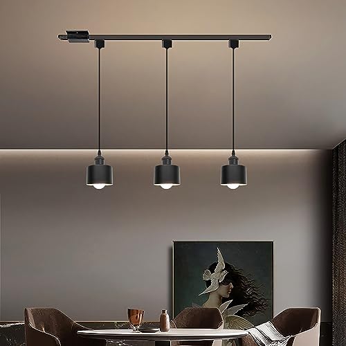 Stepless dimmable remote control pendant Black and White