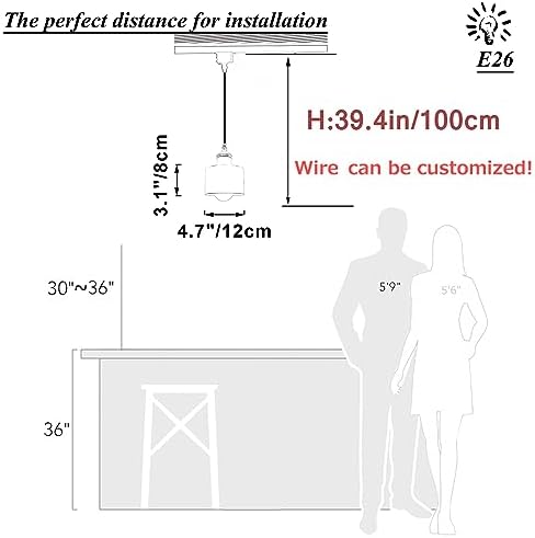 Stepless dimmable remote control pendant Black and White
