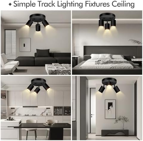 3-Light Track LightingFixture with Matte Black Finish