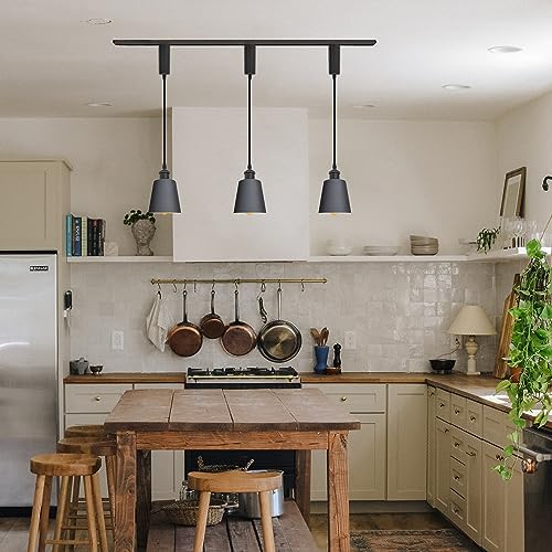 Adjustable Track Pendant Light